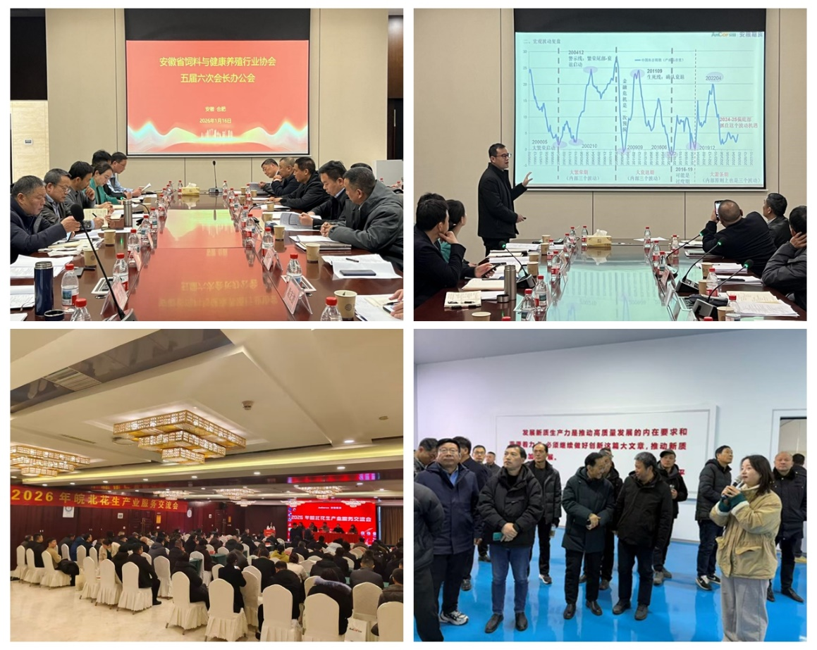 圖片1.png 圖片1.png